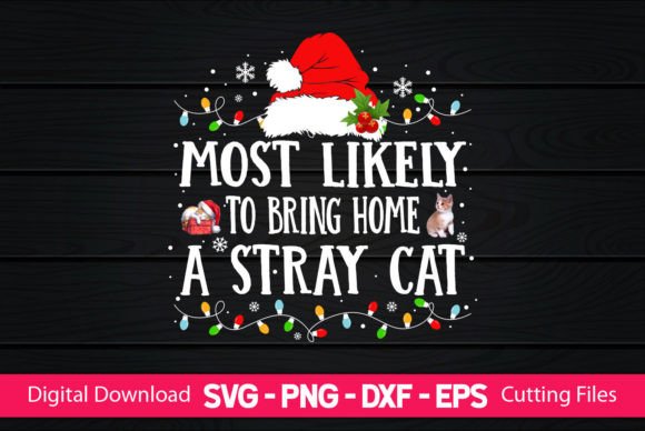 Most Likely to Bring Home a Stray Cat