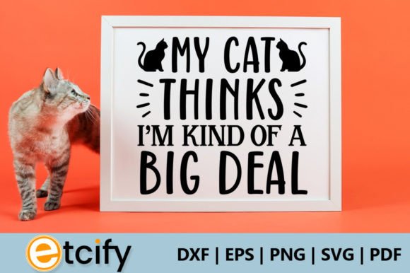 My Cat Thinks I'm Kind of a Big Deal